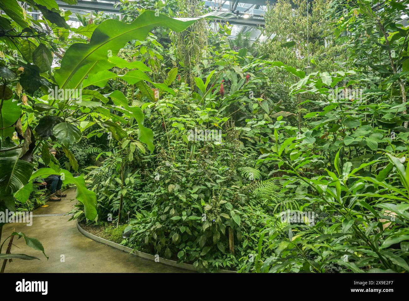 60+ Botanischer Garten Der Universität Basel Öffnungszeiten, The