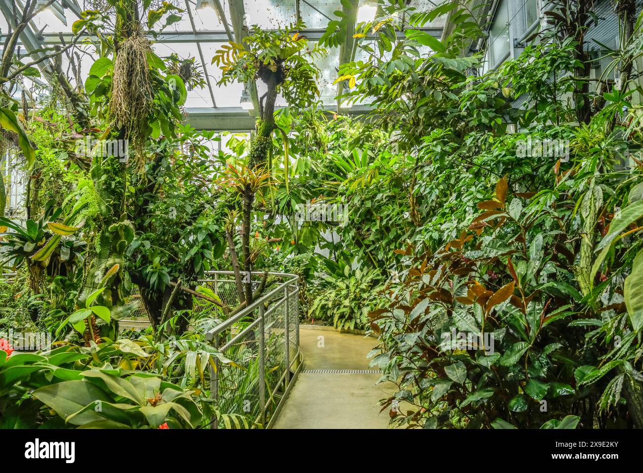 33+ Tropenhaus Botanischer Garten, Das große tropenhaus im
