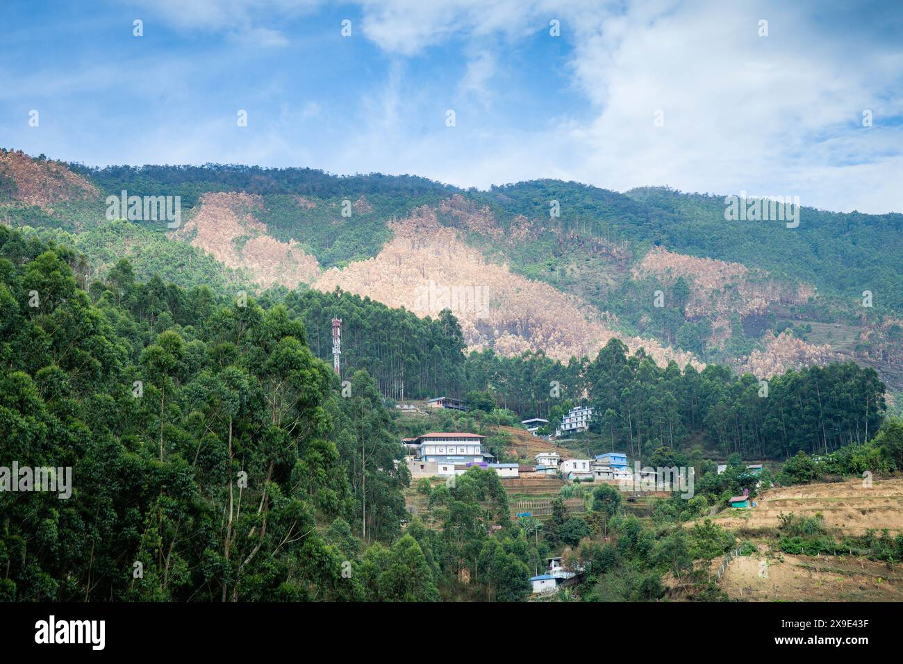 India tamil nadu rice farming hi-res stock photography and images - Alamy