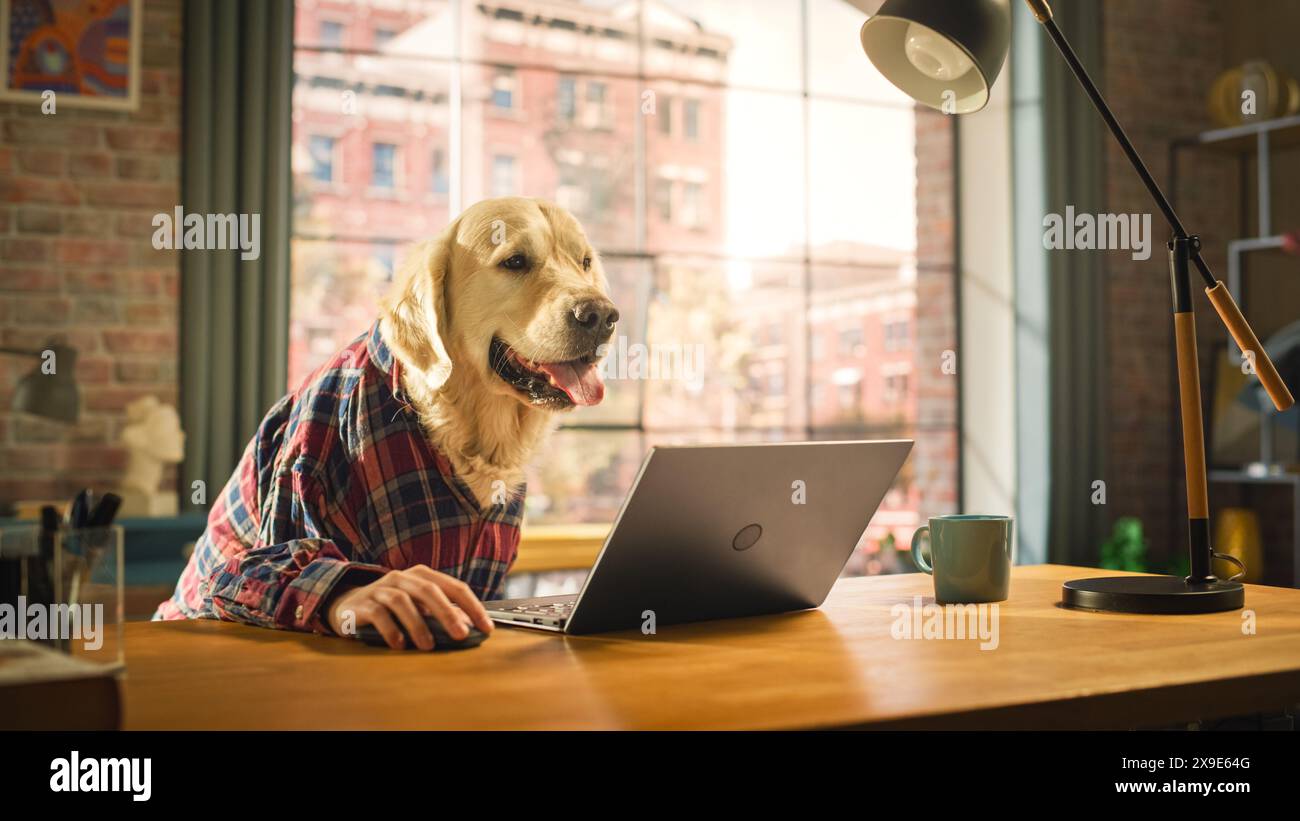 Human and pet mouse hi-res stock photography and images - Alamy