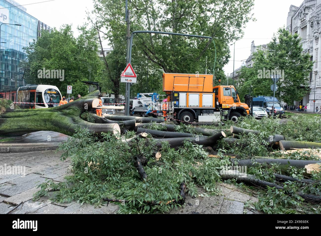 Milano, Italia. 31st May, 2024. Milano Centrale. Albero caduto a seguito della pioggia. Nessun &#xe8; rimasto ferito nell'accaduto. - Cronaca - Milano, Italia - Venerd&#xec; 31 maggio 2024(Foto Alessandro Cimma/Lapresse) Milan Central Station. Tree fell as a result of rain. No one was injured in the incident - Chronicle - Milan, Italy - Friday, 31 May 2024 (Photo Alessandro Cimma/Lapresse) Credit: LaPresse/Alamy Live News Stock Photo