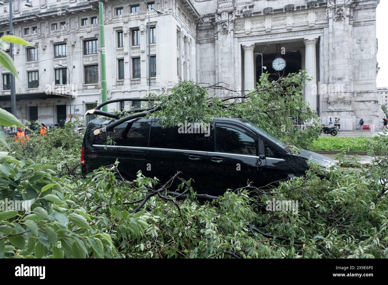 Milano, Italia. 31st May, 2024. Milano Centrale. Albero caduto a seguito della pioggia. Nessun &#xe8; rimasto ferito nell'accaduto. - Cronaca - Milano, Italia - Venerd&#xec; 31 maggio 2024(Foto Alessandro Cimma/Lapresse) Milan Central Station. Tree fell as a result of rain. No one was injured in the incident - Chronicle - Milan, Italy - Friday, 31 May 2024 (Photo Alessandro Cimma/Lapresse) Credit: LaPresse/Alamy Live News Stock Photo