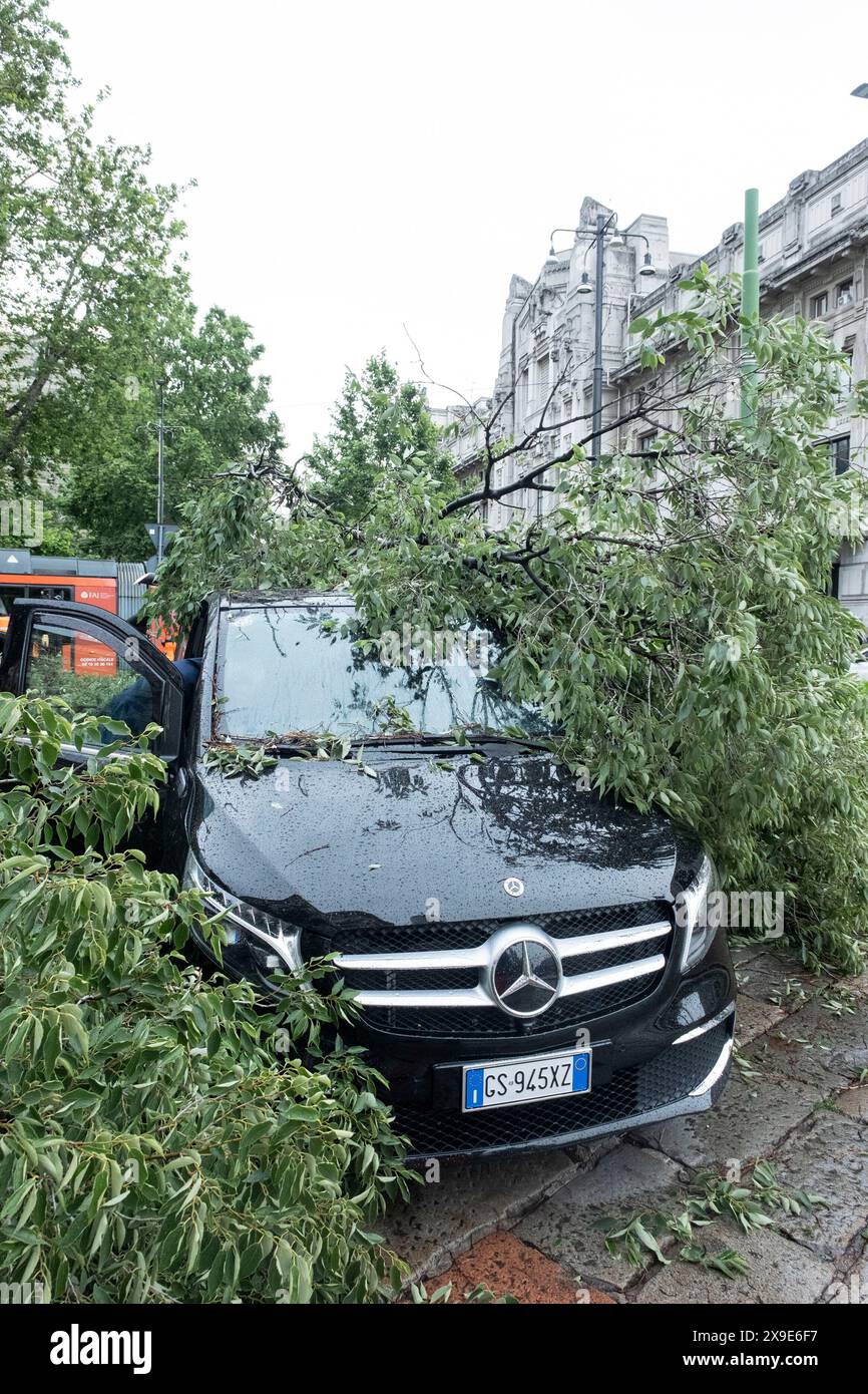 Milano, Italia. 31st May, 2024. Milano Centrale. Albero caduto a seguito della pioggia. Nessun &#xe8; rimasto ferito nell'accaduto. - Cronaca - Milano, Italia - Venerd&#xec; 31 maggio 2024(Foto Alessandro Cimma/Lapresse) Milan Central Station. Tree fell as a result of rain. No one was injured in the incident - Chronicle - Milan, Italy - Friday, 31 May 2024 (Photo Alessandro Cimma/Lapresse) Credit: LaPresse/Alamy Live News Stock Photo