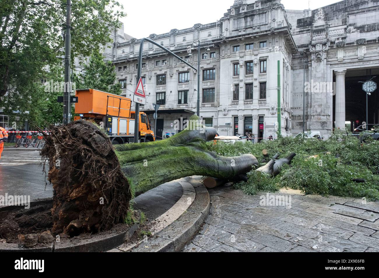 Milano, Italia. 31st May, 2024. Milano Centrale. Albero caduto a seguito della pioggia. Nessun &#xe8; rimasto ferito nell'accaduto. - Cronaca - Milano, Italia - Venerd&#xec; 31 maggio 2024(Foto Alessandro Cimma/Lapresse) Milan Central Station. Tree fell as a result of rain. No one was injured in the incident - Chronicle - Milan, Italy - Friday, 31 May 2024 (Photo Alessandro Cimma/Lapresse) Credit: LaPresse/Alamy Live News Stock Photo