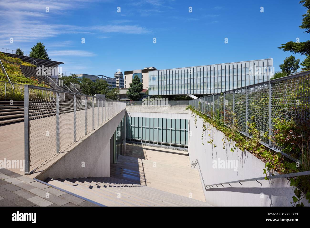 Tokyo Institute of Technology Library, designed by Yasuda Atelier, 2011; Meguro, Tokyo, Japan Stock Photo