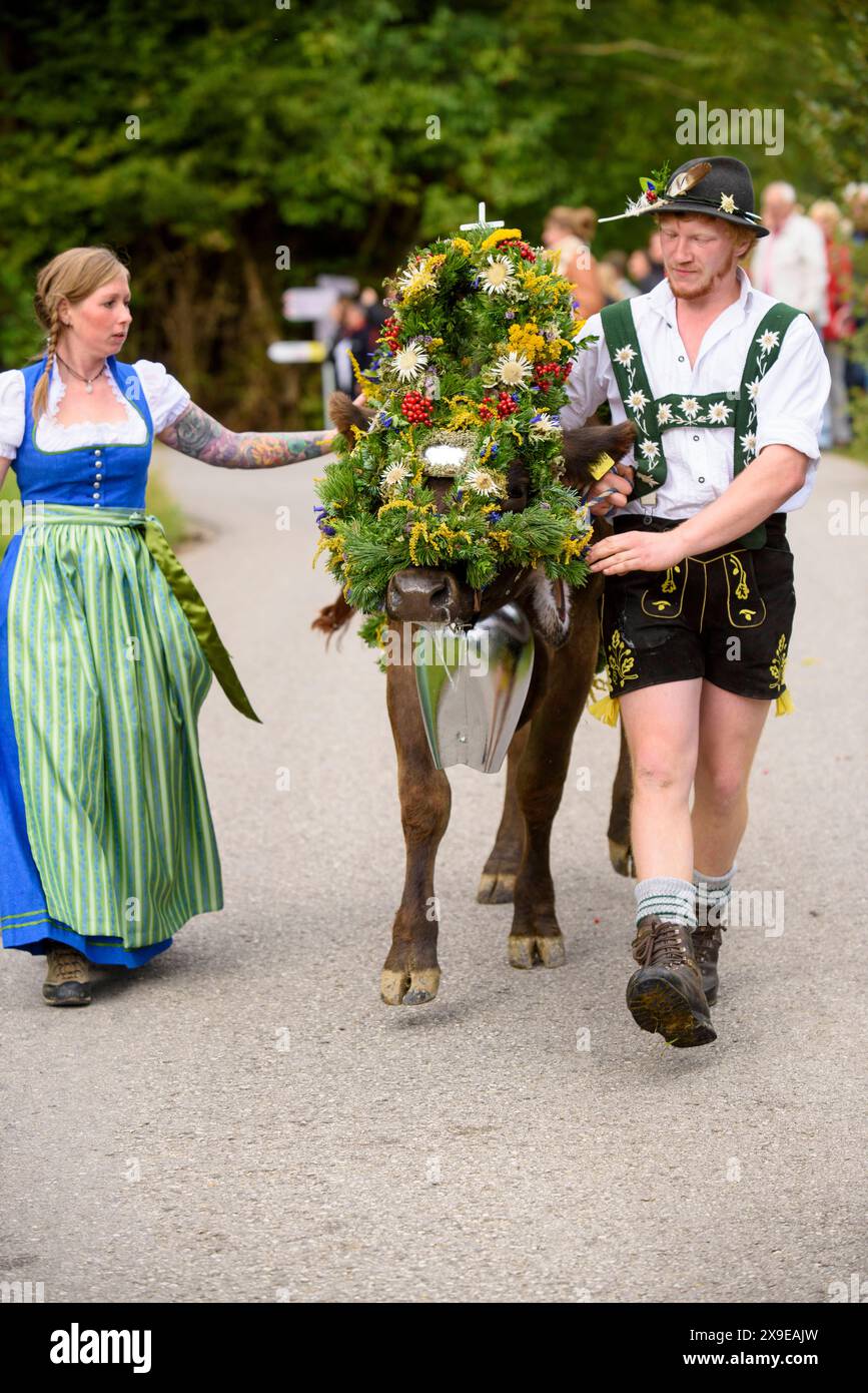 Viehscheid in Nesselwang Im Herbst werden die geschmückten Kühe bei der Viehscheid Almabtrieb in Nesselwang, Bayern, von der Alpe ins Tal geführt und an die Bauern übergeben, damit sie den Winter im Stall verbringen können. Nesselwang Bayern Deutschland *** Viehscheid in Nesselwang In the fall, the decorated cows are led from the alpine pastures down into the valley at the Viehscheid Almabtrieb in Nesselwang, Bavaria, and handed over to the farmers so that they can spend the winter in the barn Nesselwang Bavaria Germany Stock Photo