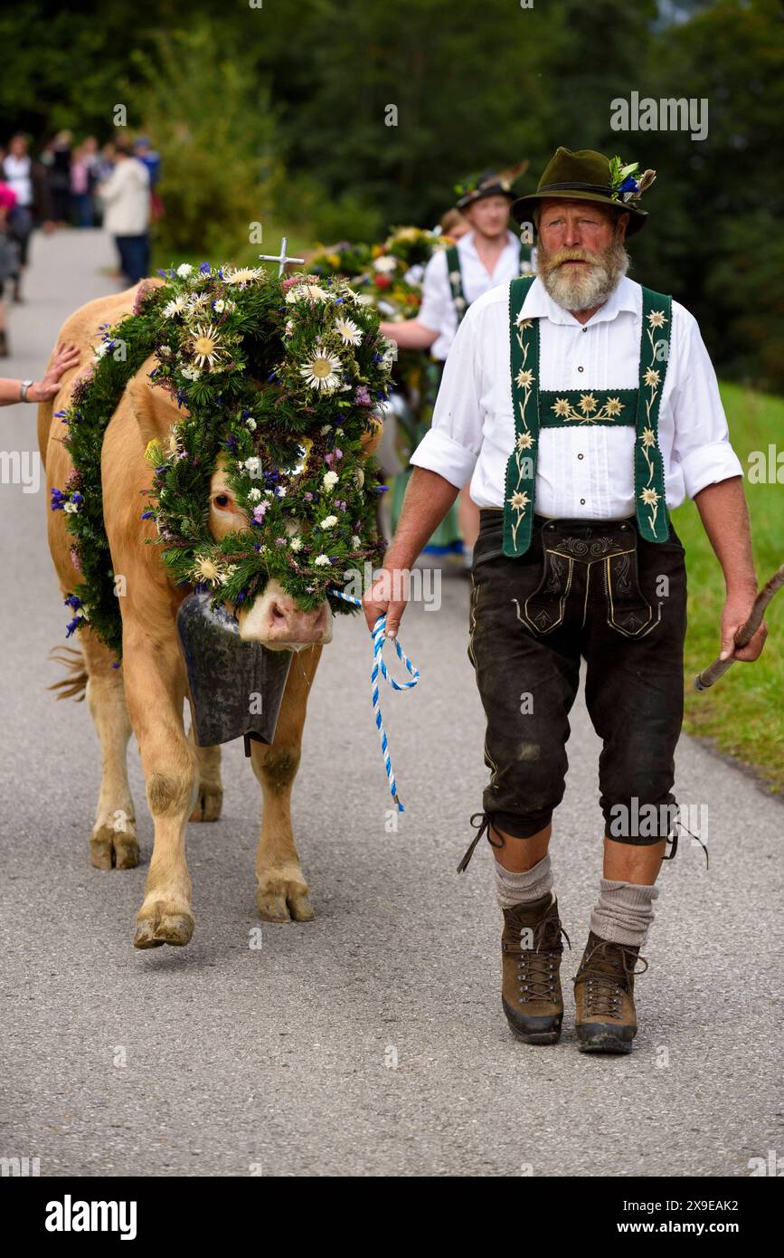 Viehscheid in Nesselwang Im Herbst werden die geschmückten Kühe bei der Viehscheid Almabtrieb in Nesselwang, Bayern, von der Alpe ins Tal geführt und an die Bauern übergeben, damit sie den Winter im Stall verbringen können. Nesselwang Bayern Deutschland *** Viehscheid in Nesselwang In the fall, the decorated cows are led from the alpine pastures down into the valley at the Viehscheid Almabtrieb in Nesselwang, Bavaria, and handed over to the farmers so that they can spend the winter in the barn Nesselwang Bavaria Germany Stock Photo