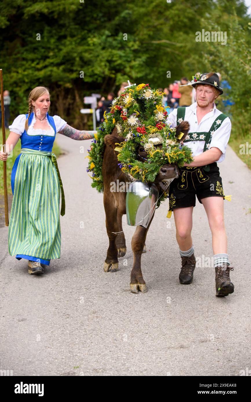 Viehscheid in Nesselwang Im Herbst werden die geschmückten Kühe bei der Viehscheid Almabtrieb in Nesselwang, Bayern, von der Alpe ins Tal geführt und an die Bauern übergeben, damit sie den Winter im Stall verbringen können. Nesselwang Bayern Deutschland *** Viehscheid in Nesselwang In the fall, the decorated cows are led from the alpine pastures down into the valley at the Viehscheid Almabtrieb in Nesselwang, Bavaria, and handed over to the farmers so that they can spend the winter in the barn Nesselwang Bavaria Germany Stock Photo