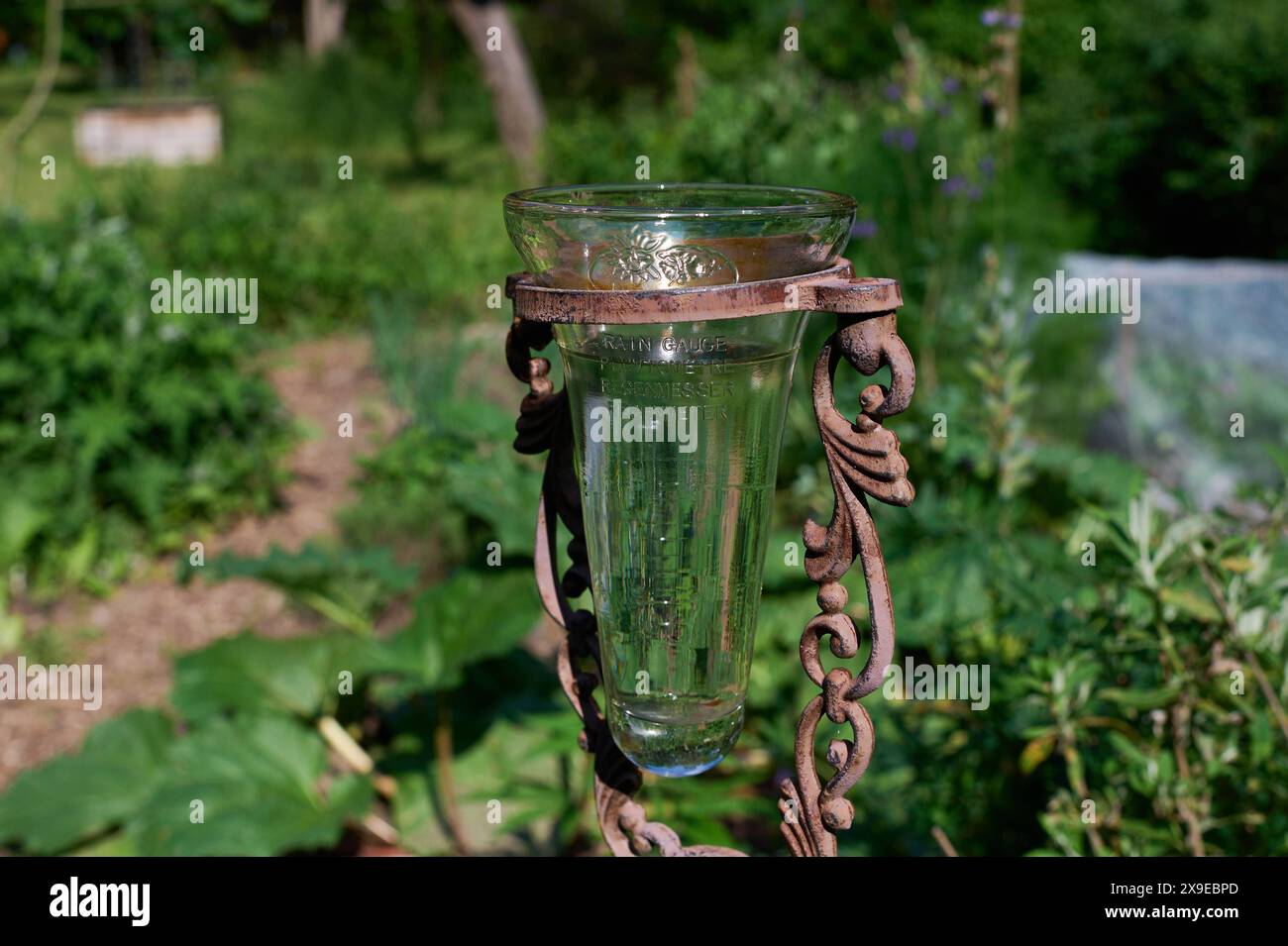 Regenmessglas hi-res stock photography and images - Alamy