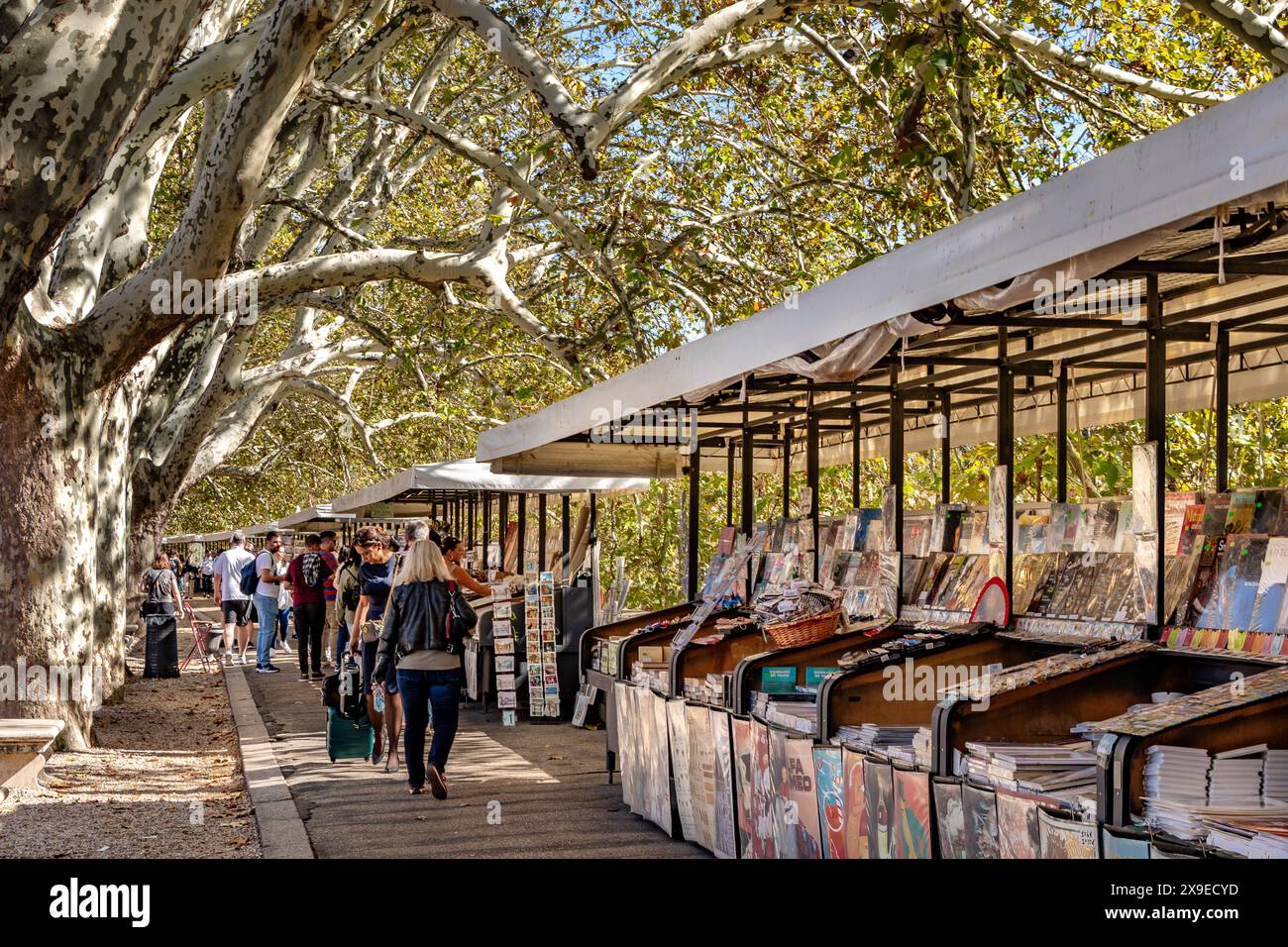 People browsing at an open air market with stalls selling  selling books and souvenirs along Lungotevere Castello ,Rome, Italy Stock Photo