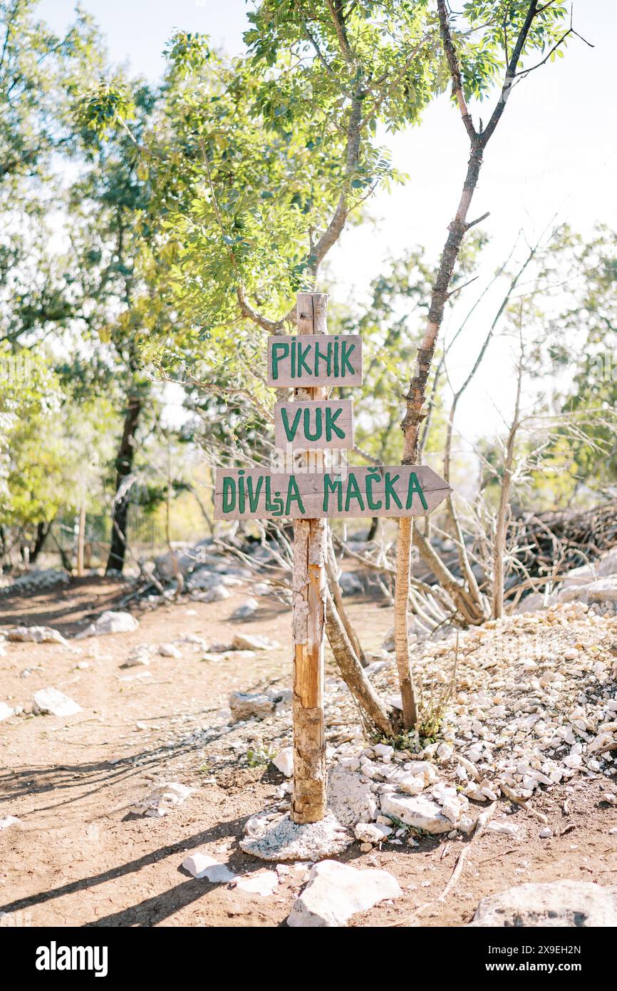 Signposts on a wooden post in a green park. Caption: Piknik, Vuk, Divla macka Stock Photo