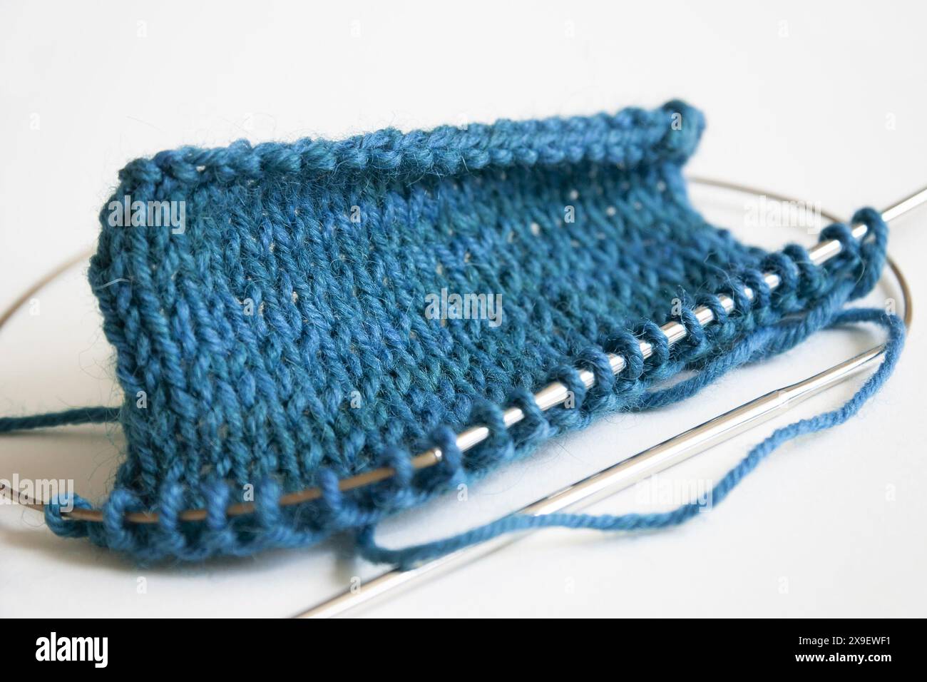 Close-up photography of stockinette stitch blue turquoise knitting project on circular needles on a white background Stock Photo