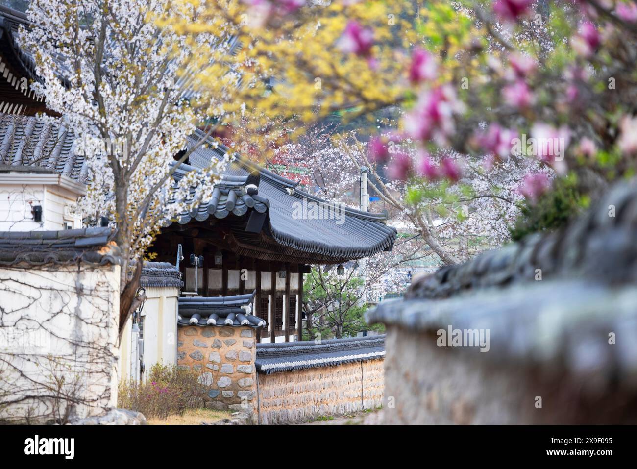 House in Gyeongju Gyochon Traditional Village, Gyeongju, South Korea ...
