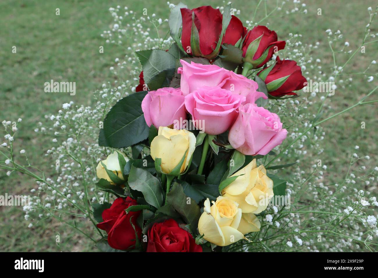 Fresh Rose flower Bouquet for gifting. Bouquet bunch of flowers of red ...