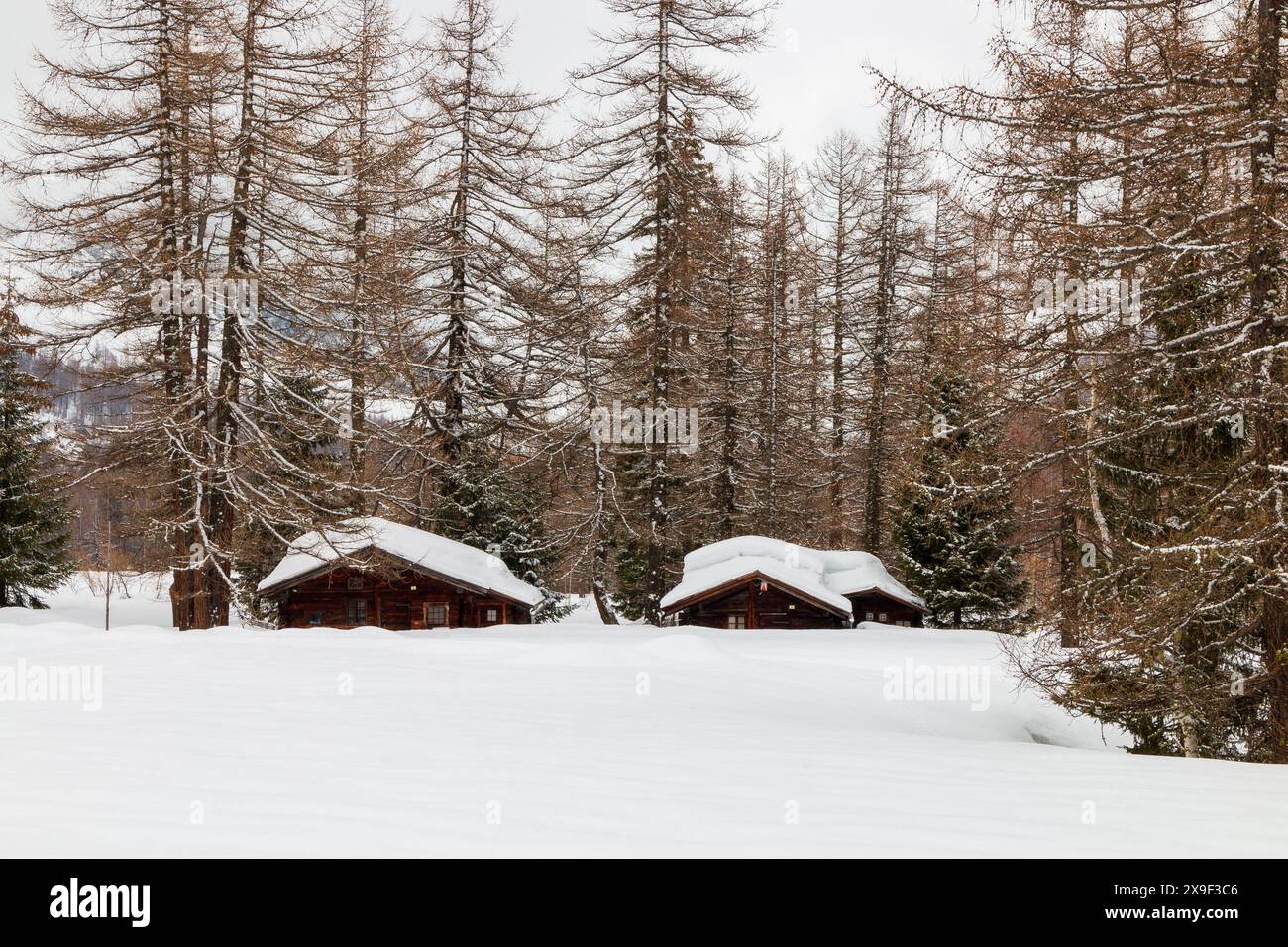 White cottage woods hi-res stock photography and images - Alamy, image size:1300x956