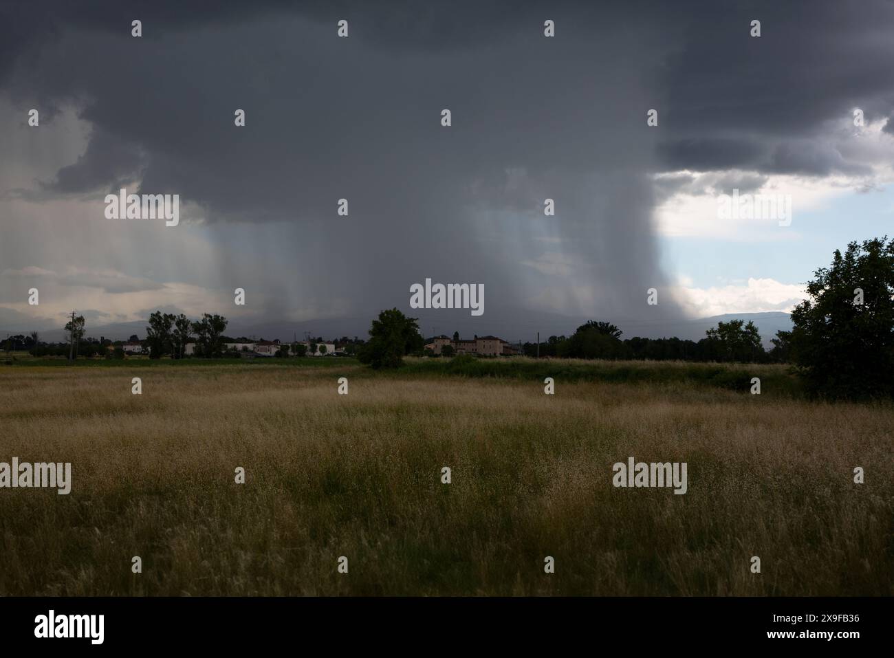 Tornado over cultivated fields, flat landscape Stock Photo