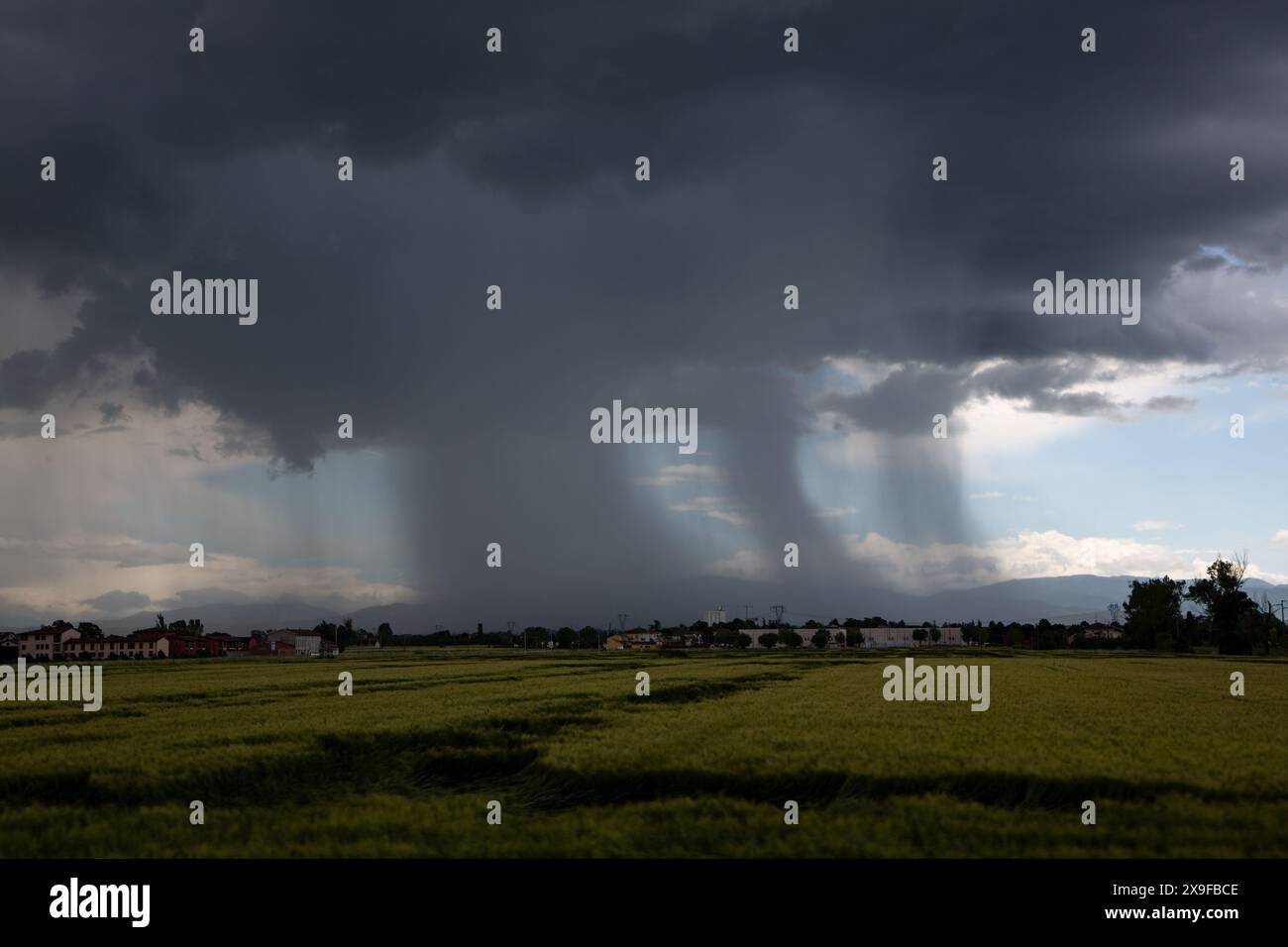 Tornado over cultivated fields, flat landscape Stock Photo