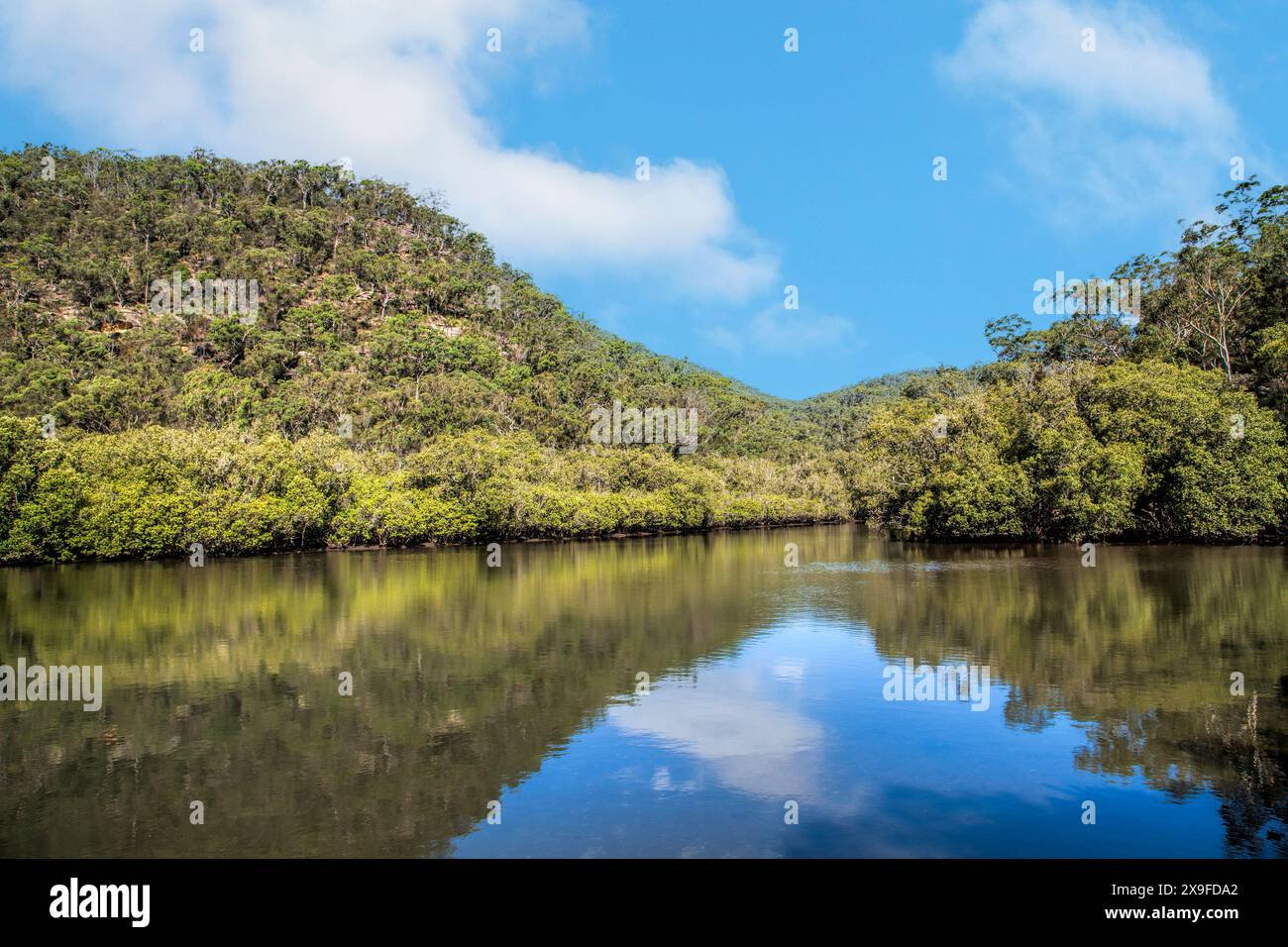 Lush waterfront landscape, Ku-ring-gai Chase National Park near Sydney, New South Wales, Australia Stock Photo