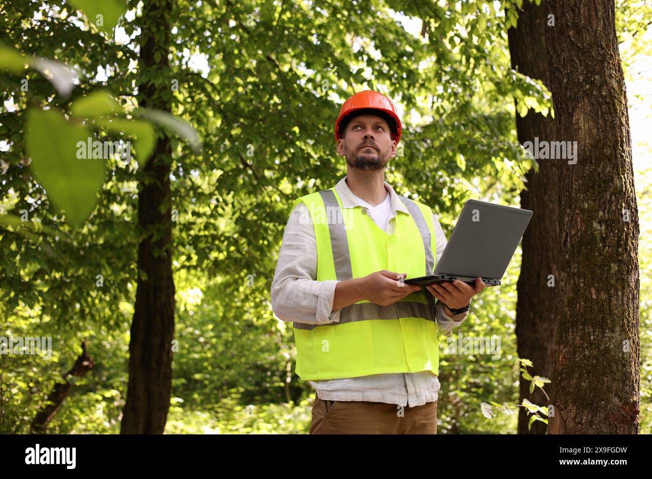 Forester in hard hat with laptop working in forest Stock Photo