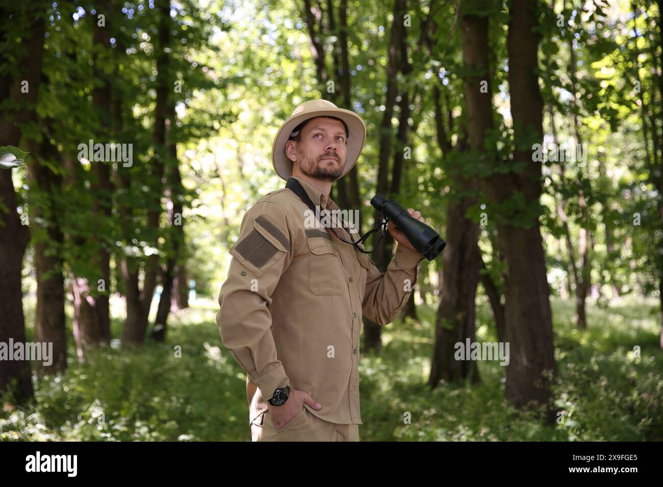 Forester with binoculars examining plants in forest Stock Photo