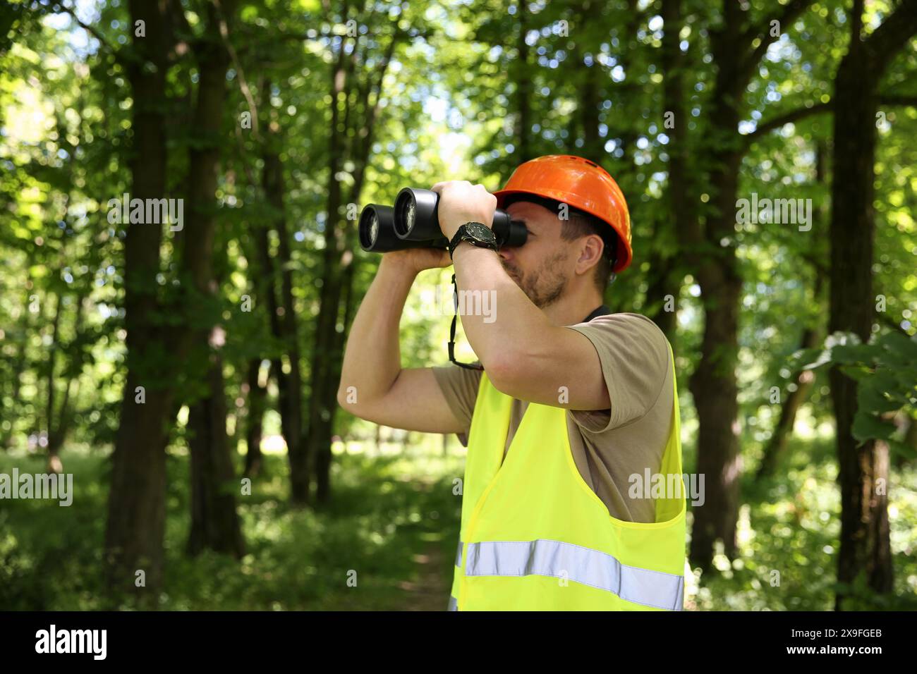 Forester with binoculars examining plants in forest Stock Photo