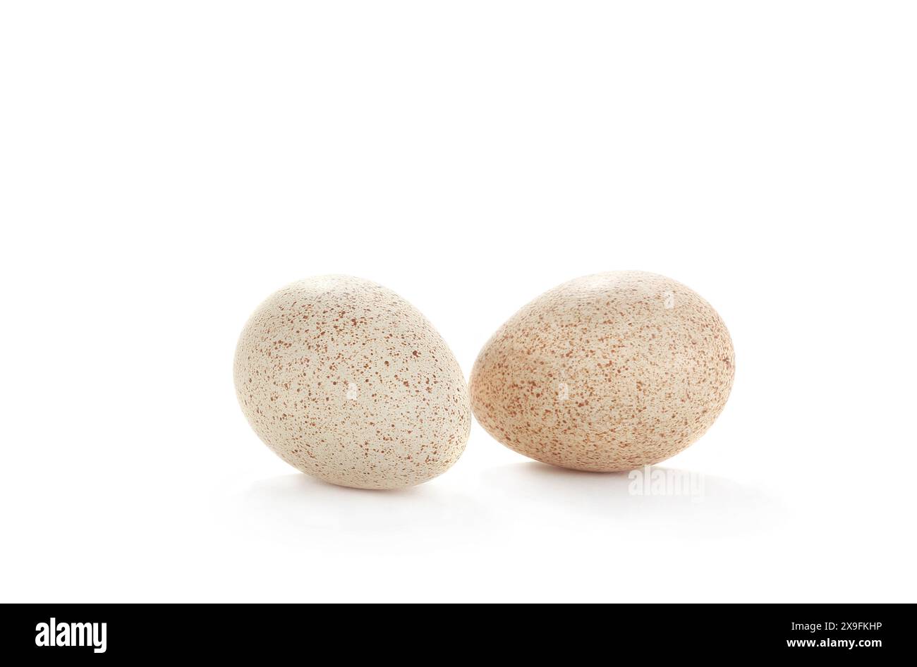 egg turkey isolated on a white background Stock Photo