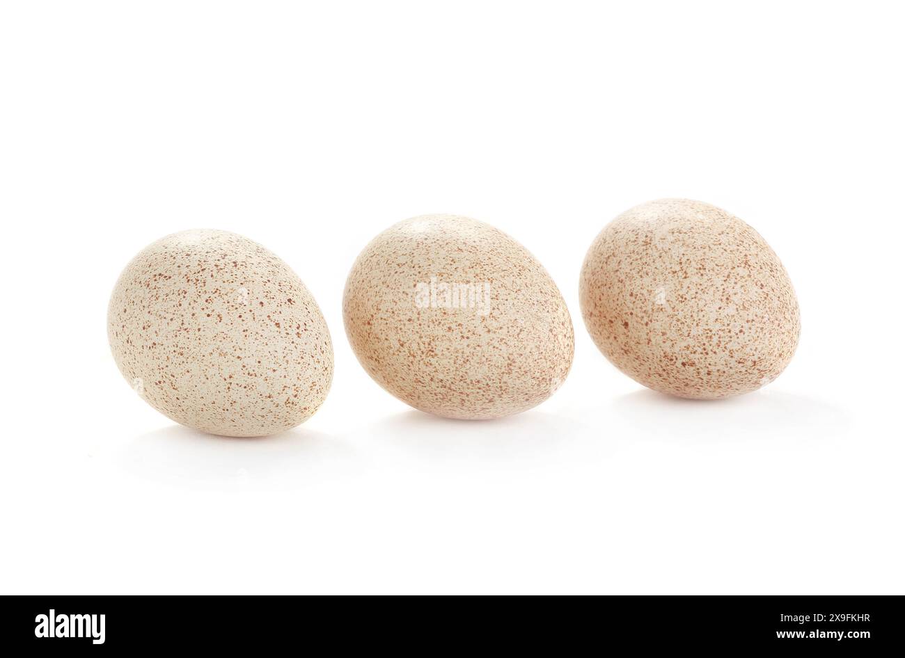 egg turkey isolated on a white background Stock Photo