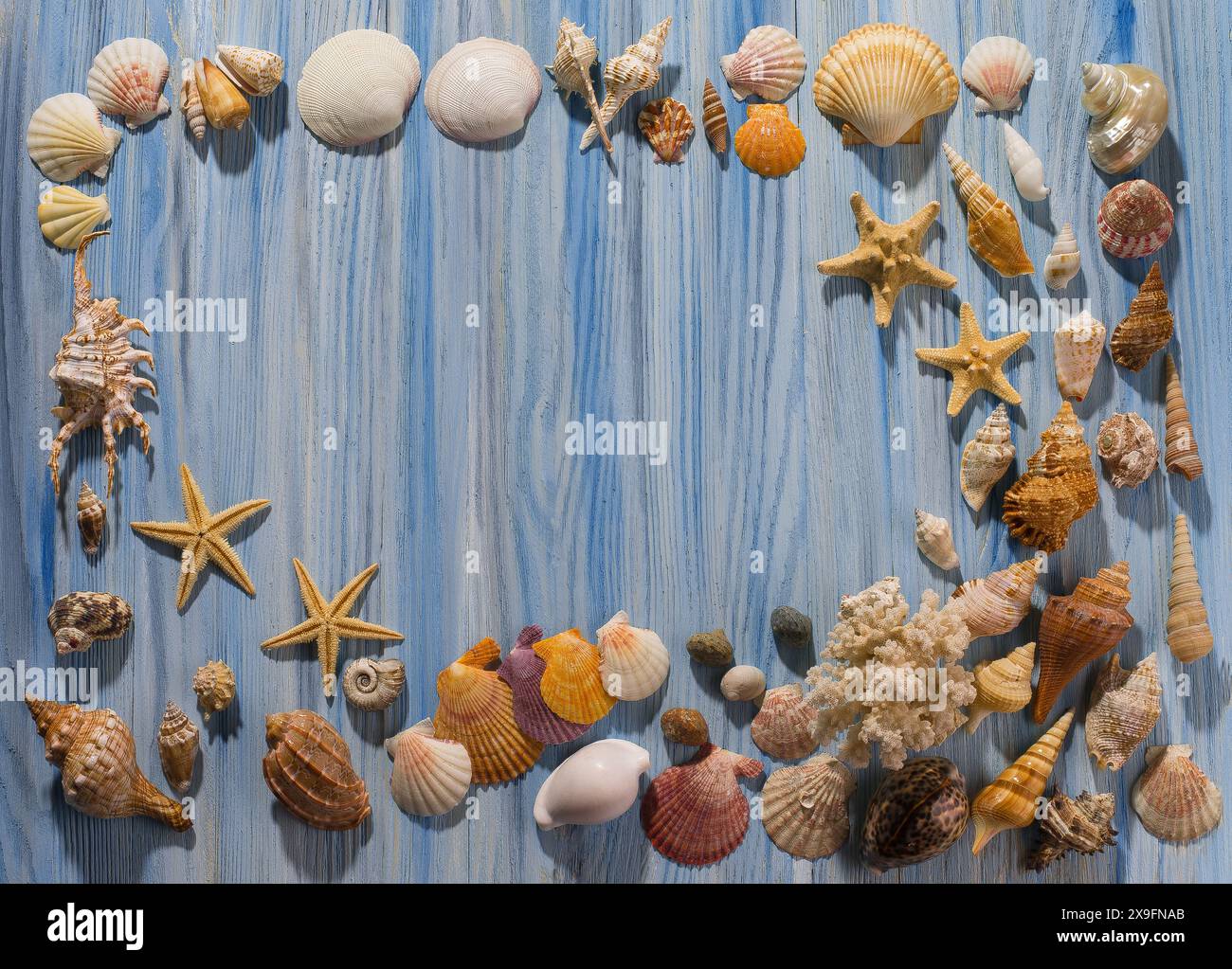frame from cockleshells for writing of your text Stock Photo - Alamy