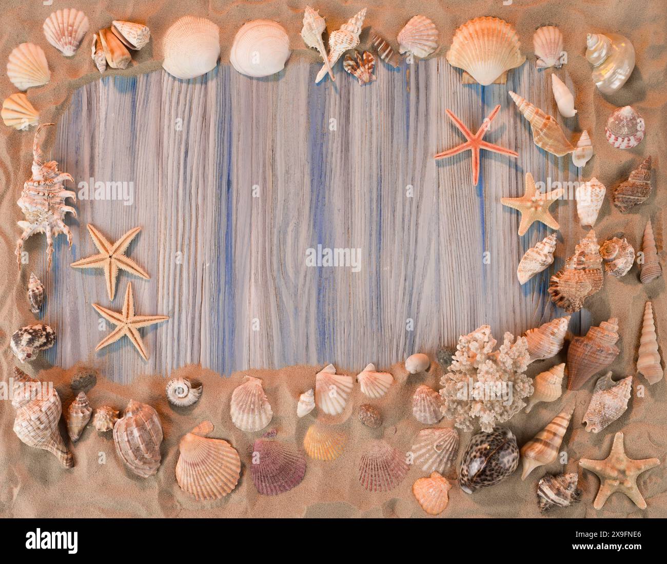 frame from cockleshells for writing of your text Stock Photo - Alamy