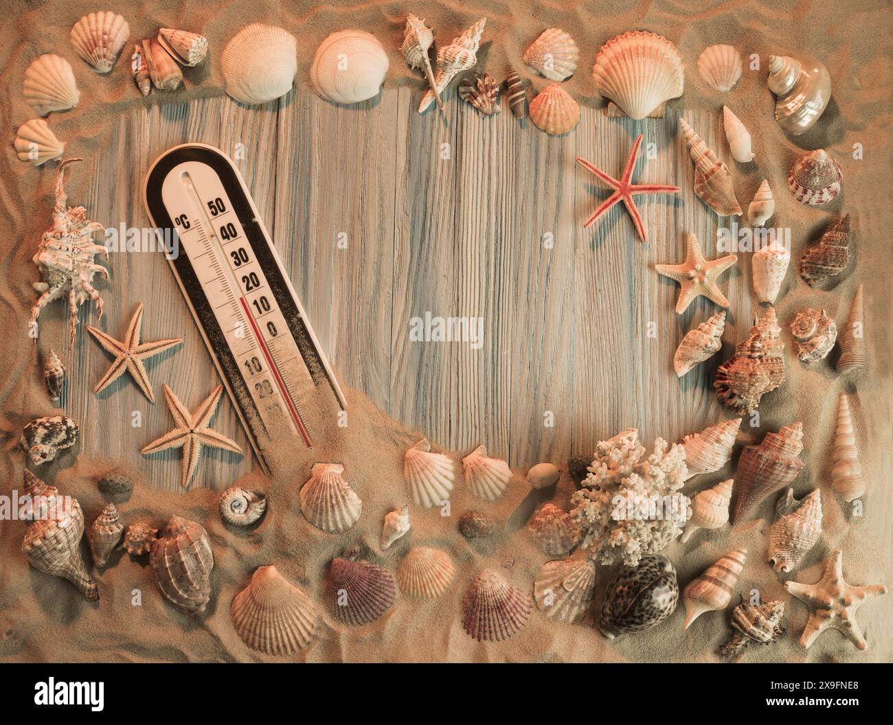 frame from cockleshells for writing of your text Stock Photo - Alamy
