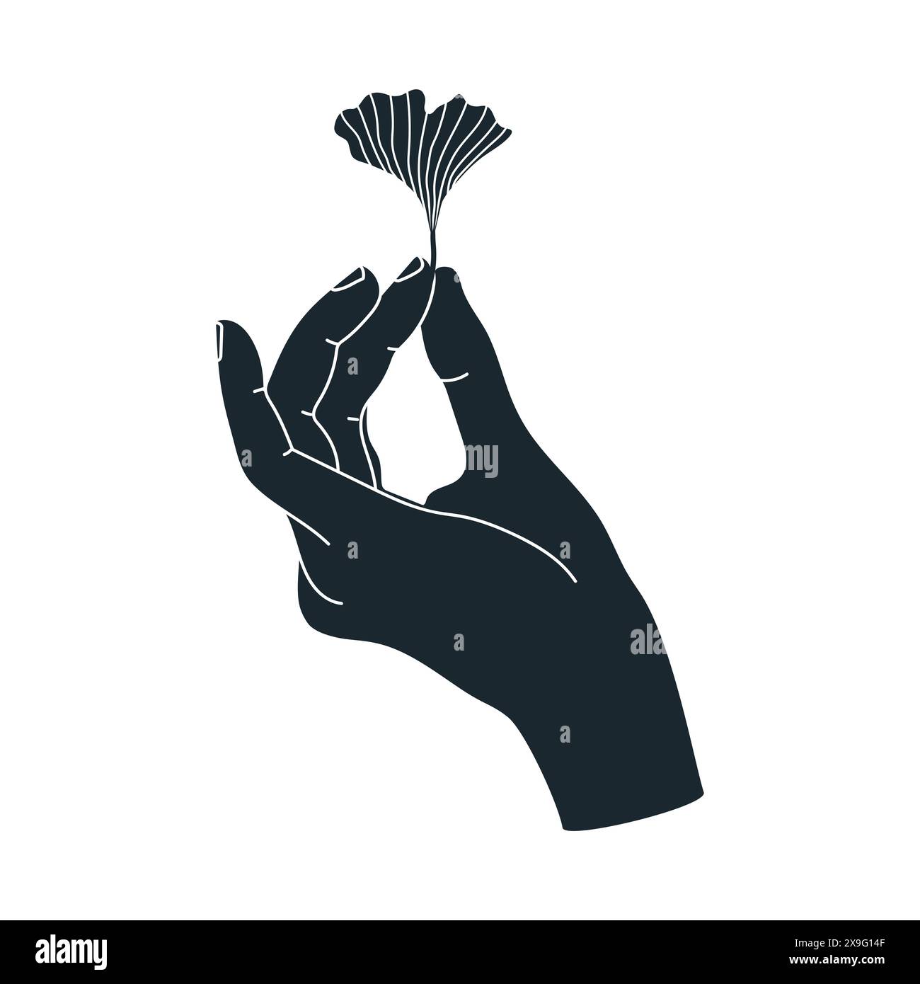 Silhouette of human hand holding ginkgo leaf vector illustration stock