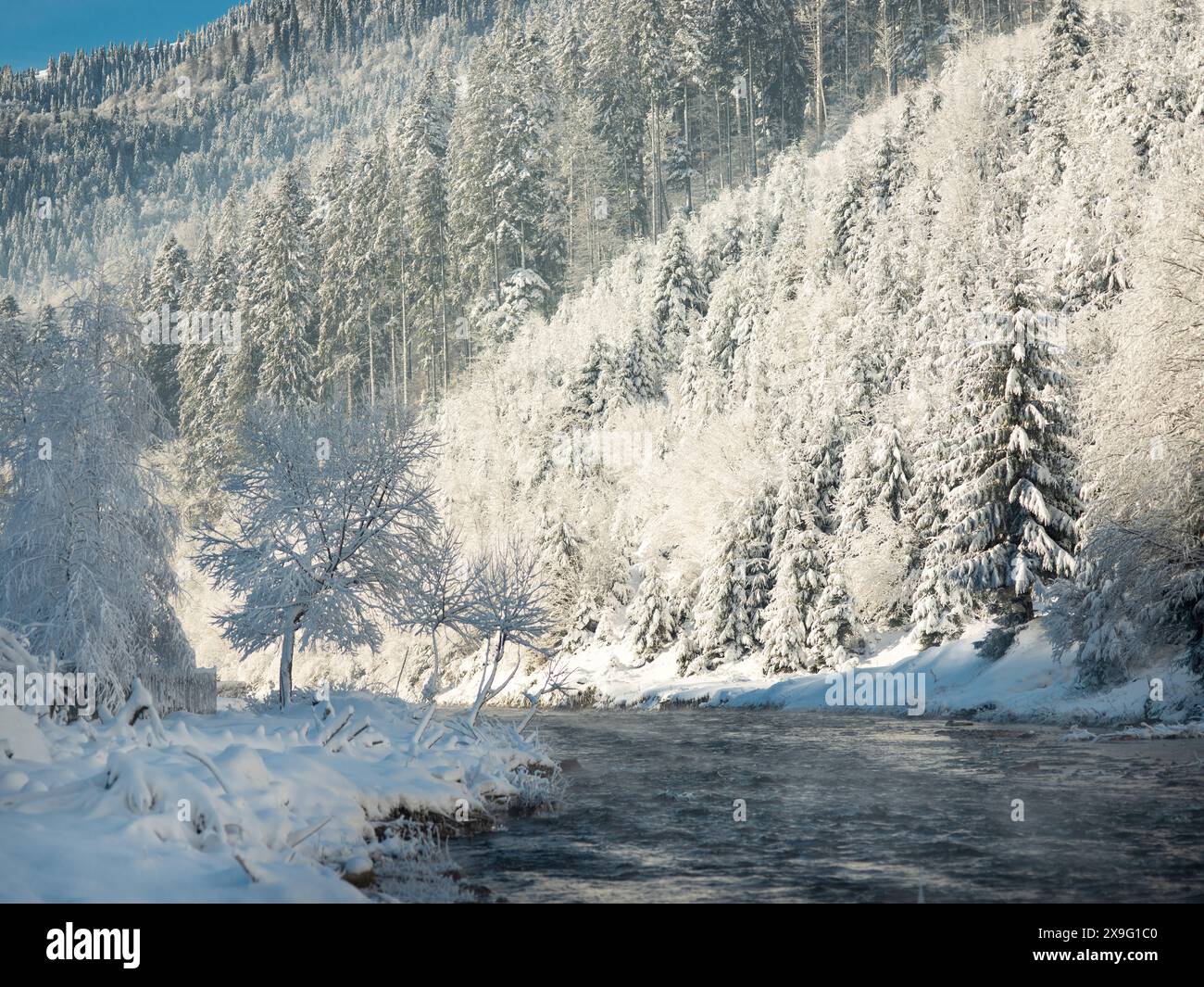 Heavy snowfall environment hi-res stock photography and images - Alamy