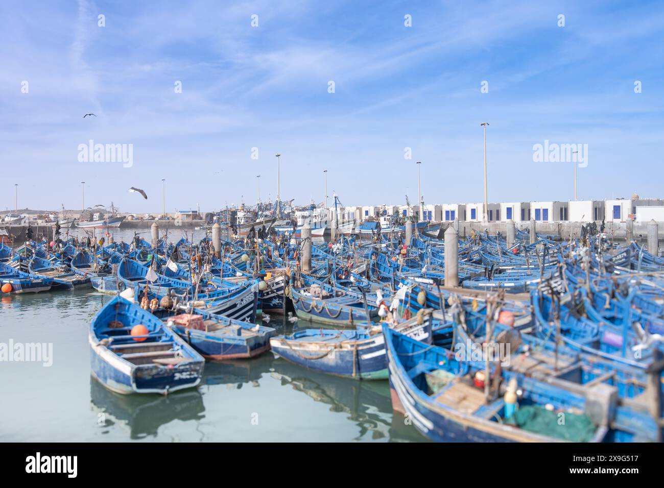 Many blue fishing boats anchored on the tranquil waters under clear skies. This is the traditional maritime culture of Essaouira, Morocco. Stock Photo