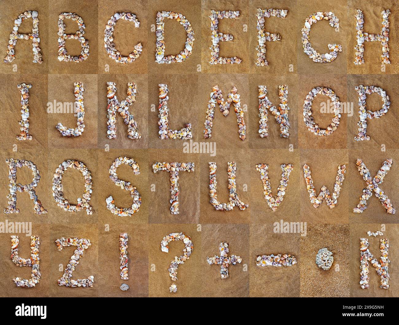 The letter of the English alphabet, a letter made of seashells on the ...