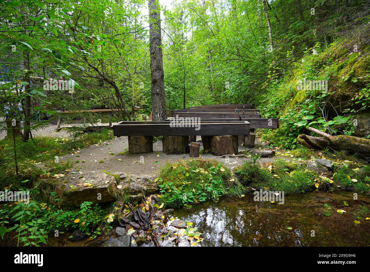 Gold panning tables in Liarsville, a former boomtown created in the ...