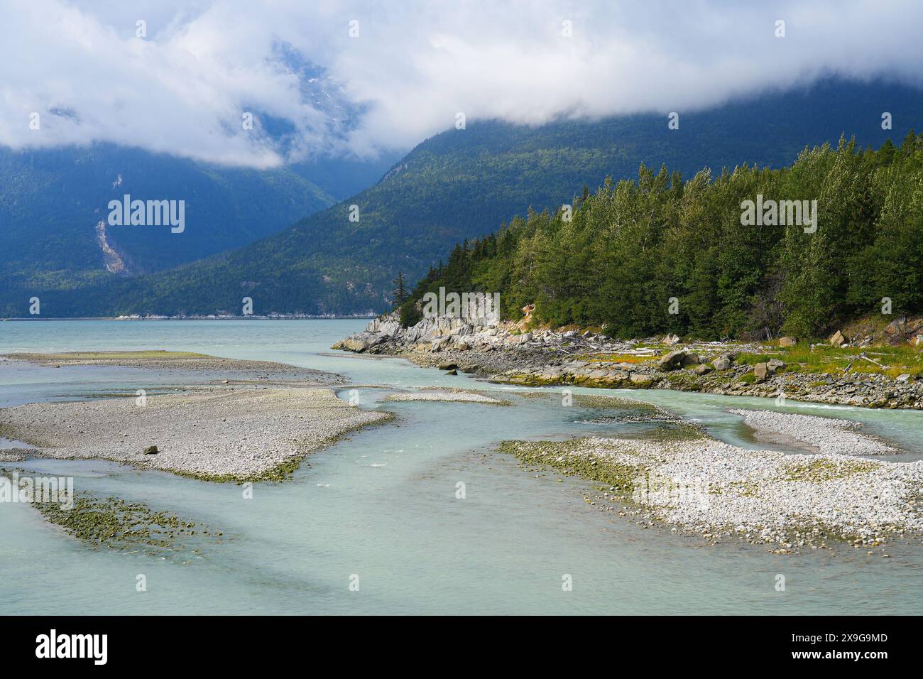Skagway river flowing into a fjord of southeast Alaska surrounded by ...