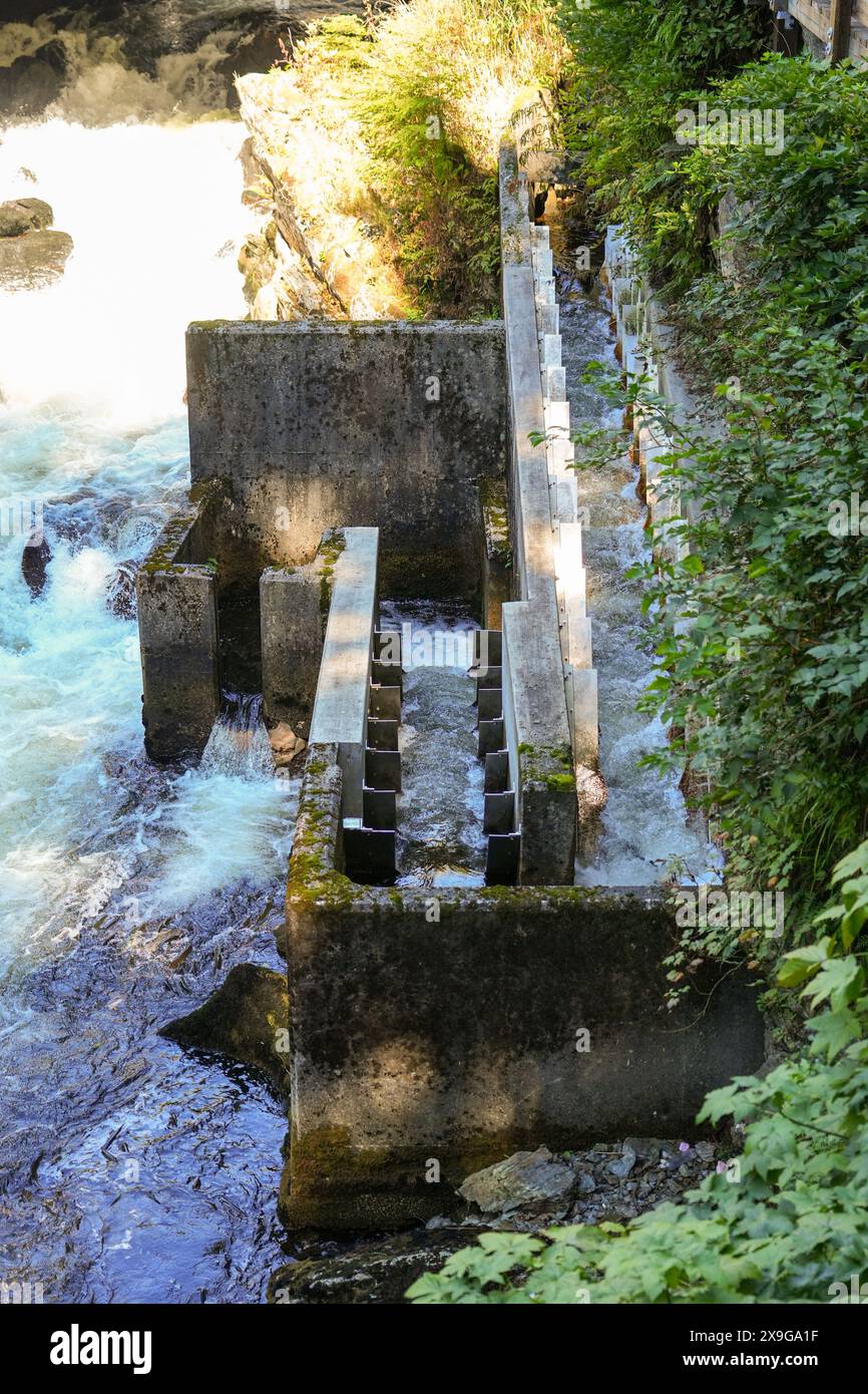 Salmon ladder built along the Ketchikan Creek to help salmons to swim