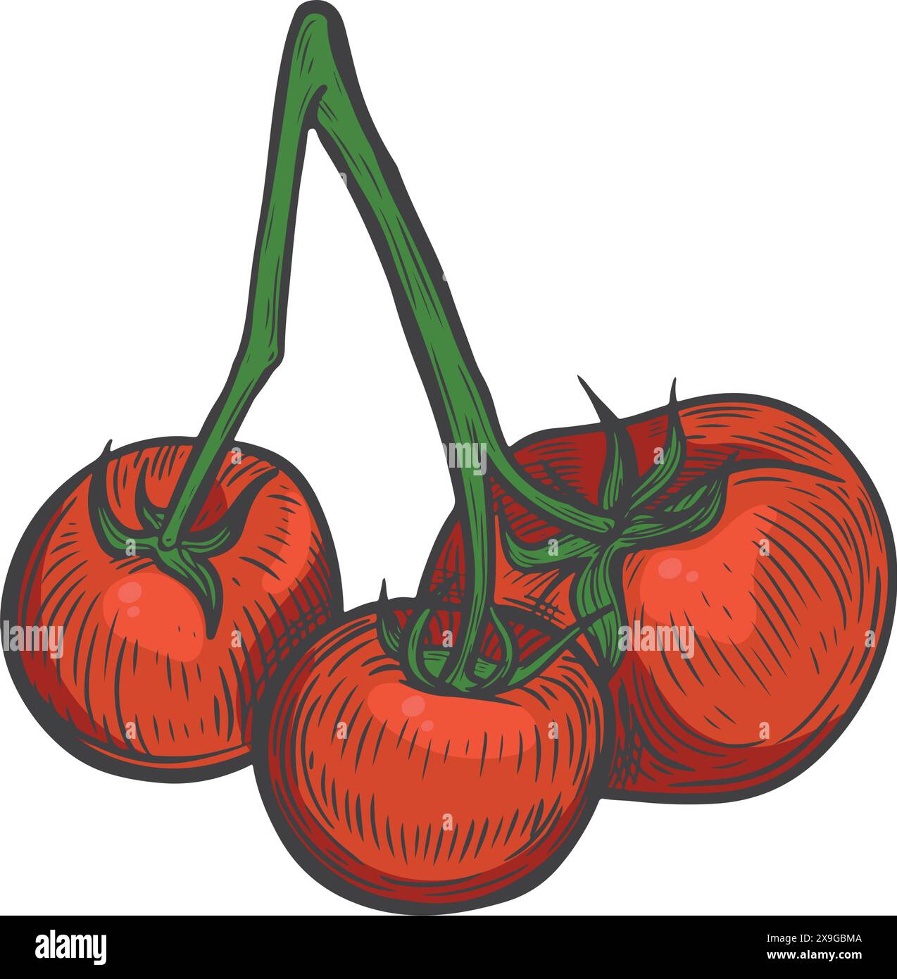 Red tomato bunch line drawing isolated on white background. Stock Vector