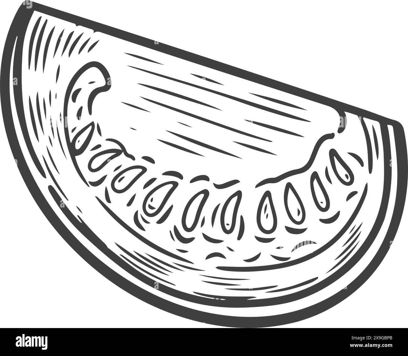 Tomato quarter Stock Vector Images - Alamy, image size:1300x1134