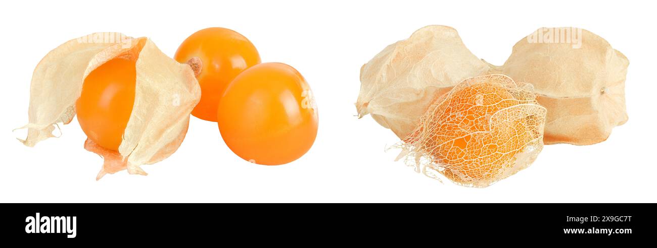 Cape gooseberry or physalis isolated on white background wit full depth ...