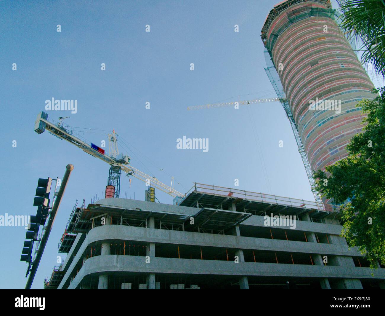 View up through green trees in foreground to multi-story parking garage, building and cranes under construction. Blue sky and fencing. No people Stock Photo