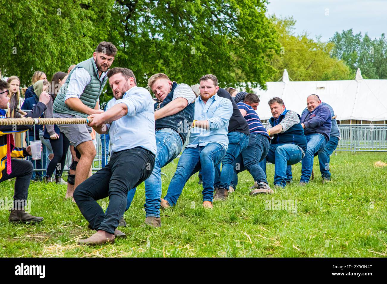 SHEPTON MALLET, SOMERSET, UK, 31st May, 2024, Men from the livestock ...