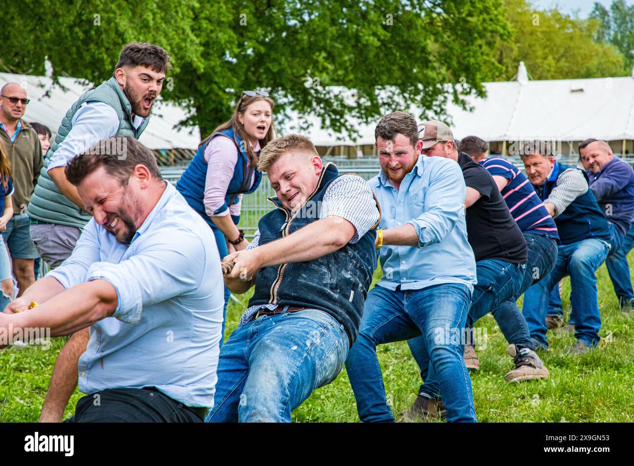SHEPTON MALLET, SOMERSET, UK, 31st May, 2024, Men from the livestock ...