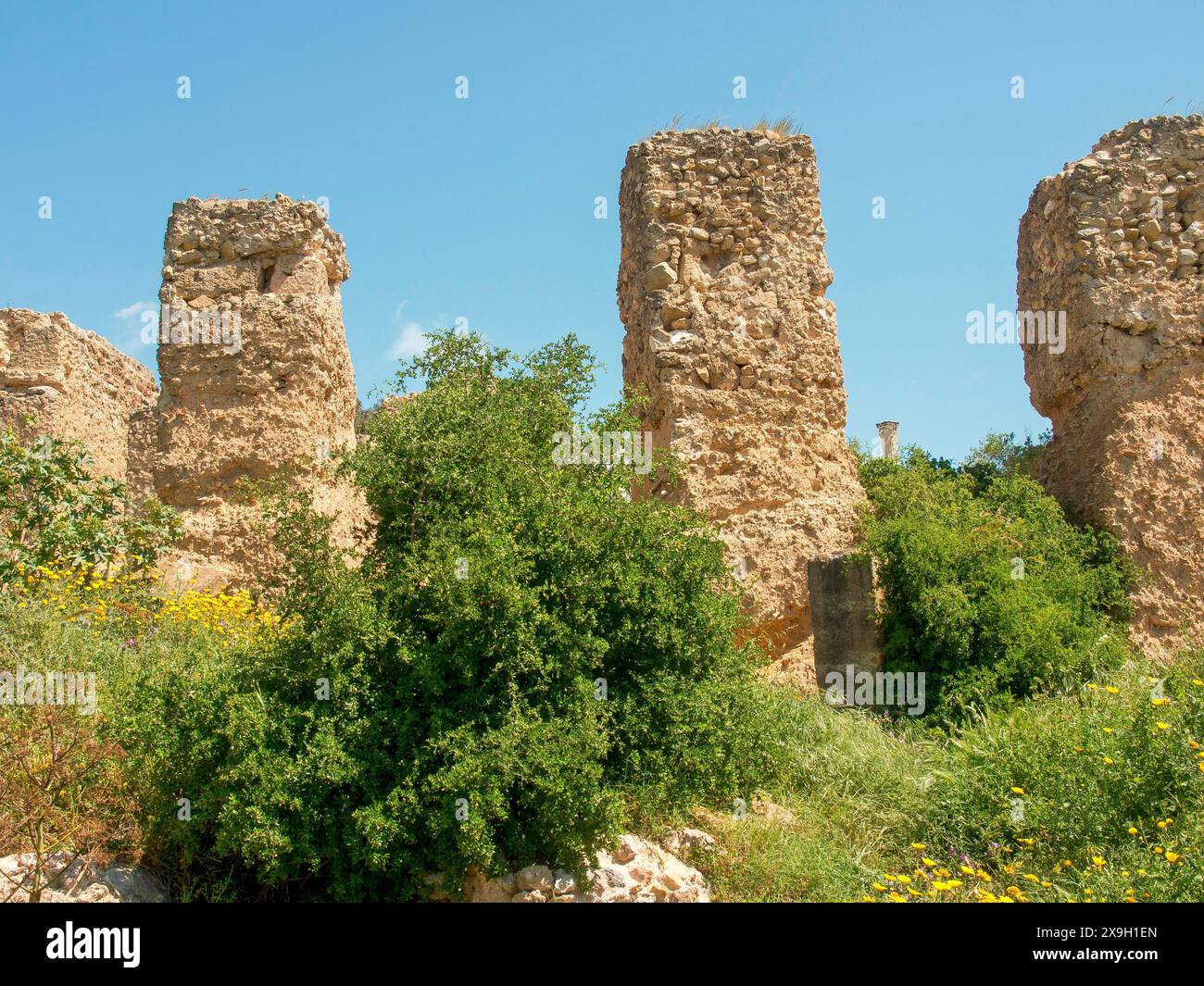 Ancient stone ruins surrounded by green vegetation under a clear blue ...