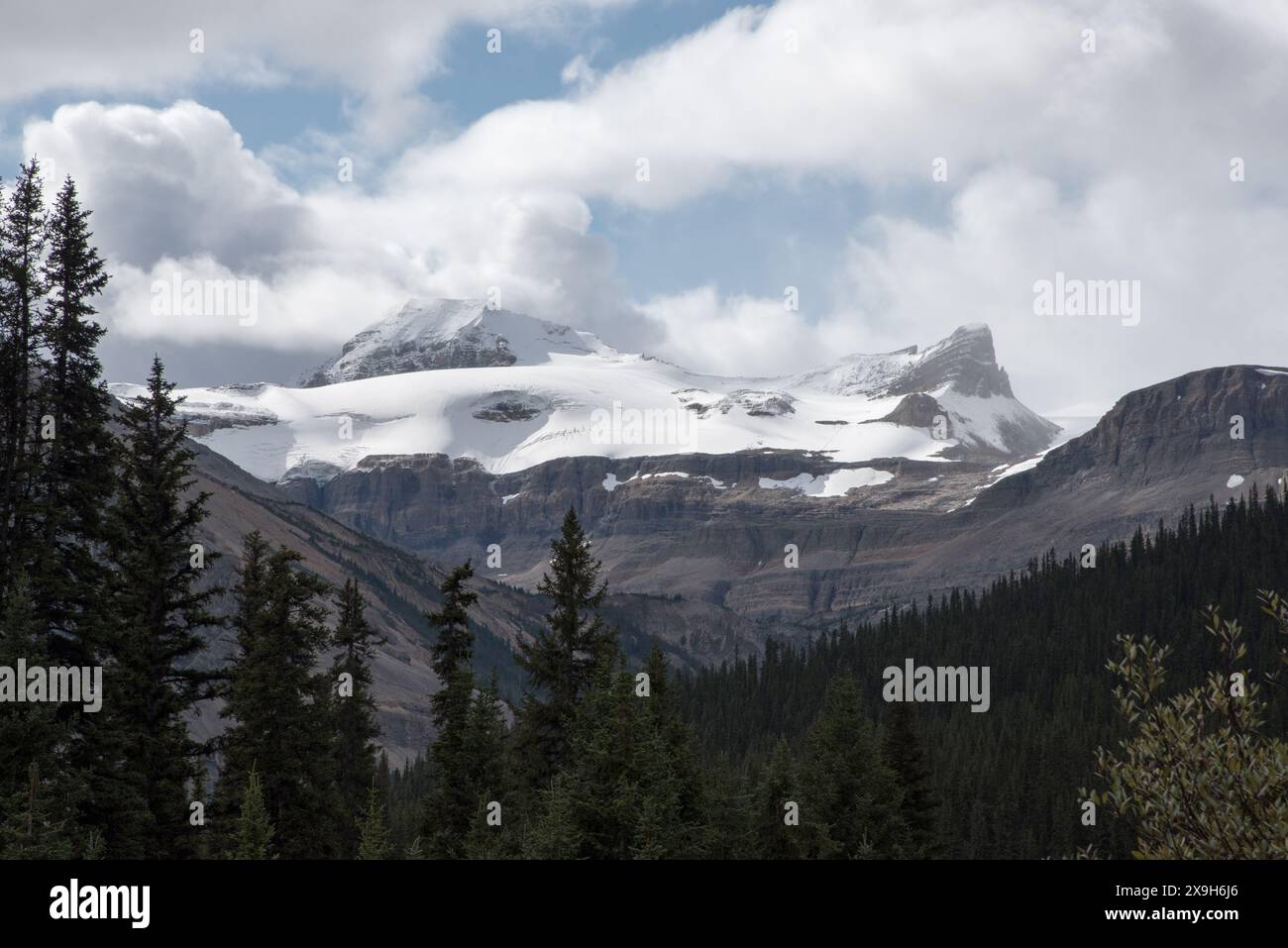 Canadian Rocky Mountains in Banff National Park in Alberta  in Canada viewed from North Saskatchewan River at the foothills of the Rockys. Stock Photo