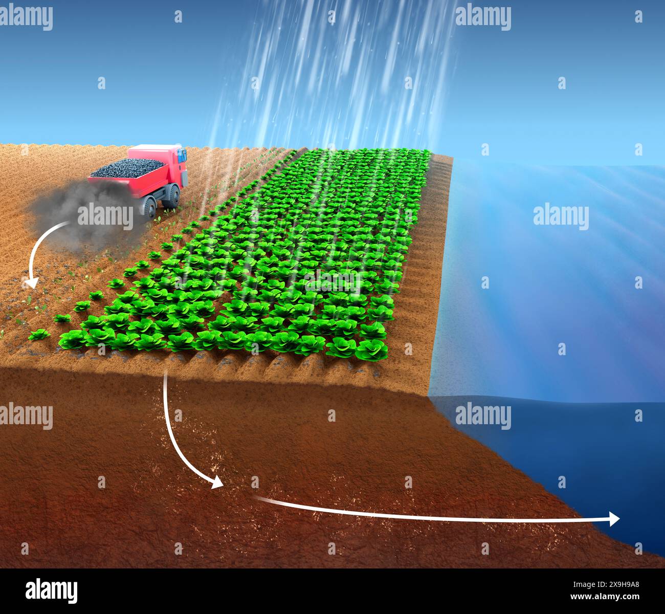 Illustration of the enhanced rock weathering process for carbon dioxide