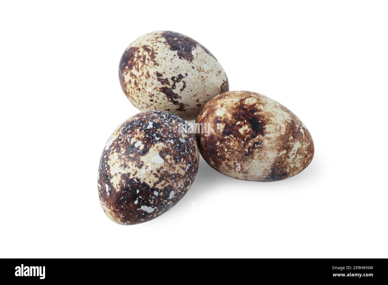 Quail eggs close up isolated on white background Stock Photo