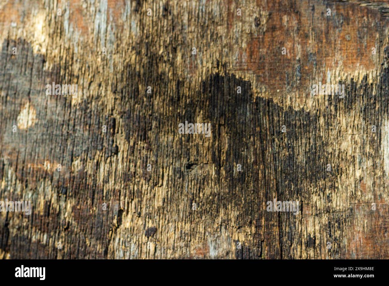old wood texture background Stock Photo