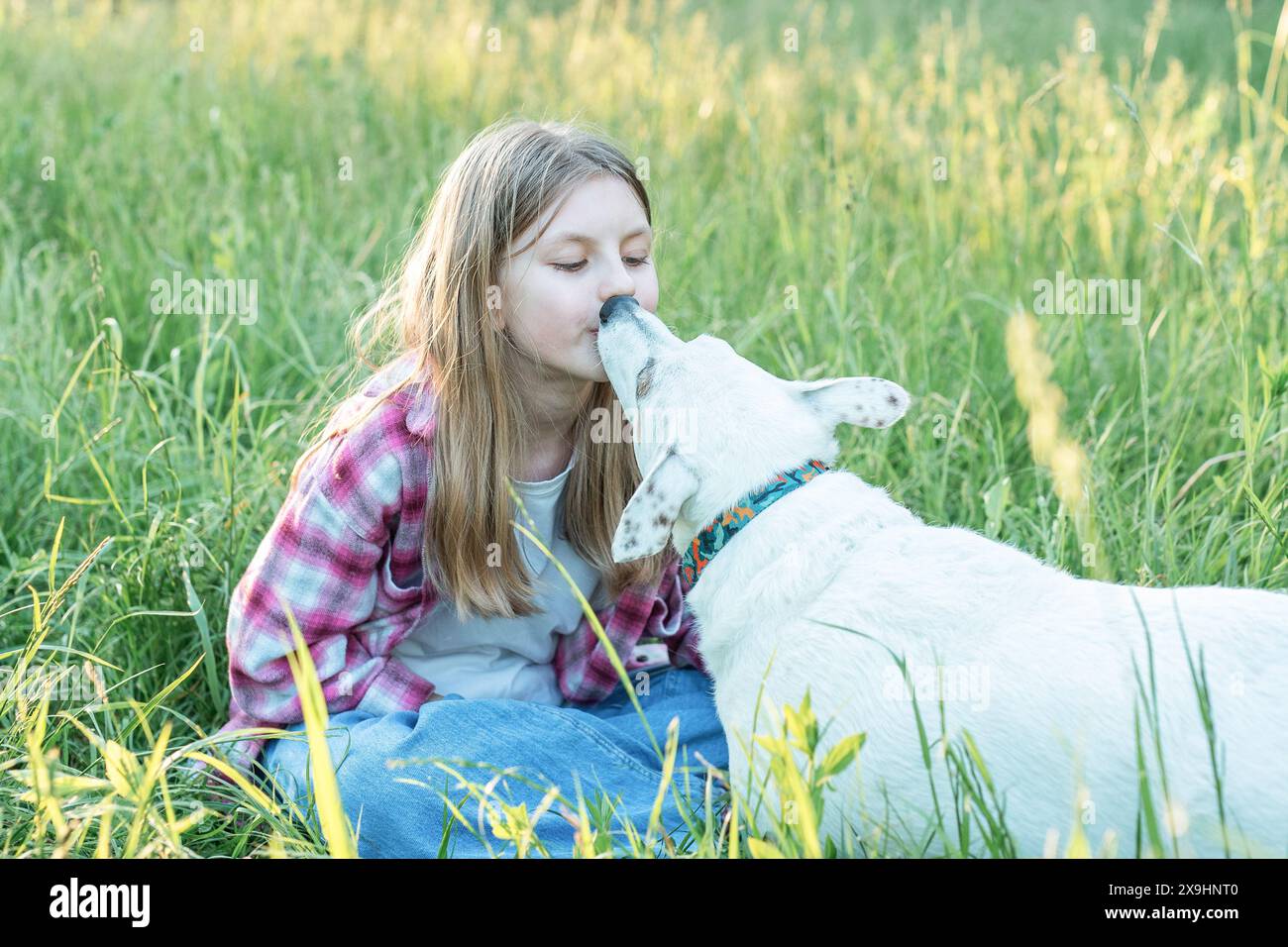 A child with a dog in nature, girl playing with a dog on green grass Stock Photo
