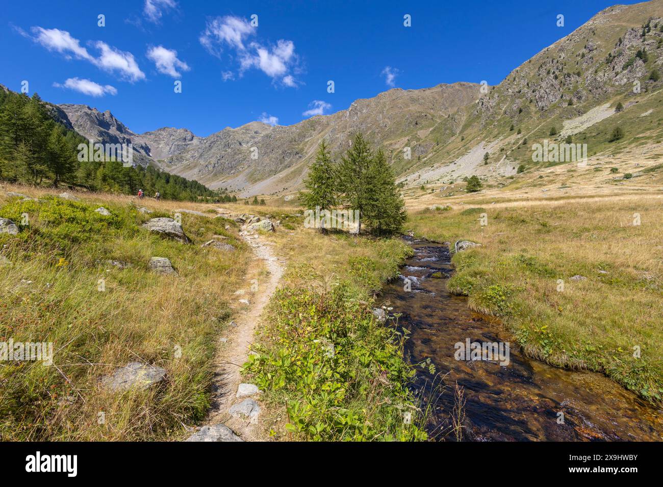 The picturesque valley with stream in the Maritime Alps in the municipality of Vinadio, province of Cuneo, Piedmont, Italy Stock Photo